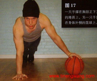 铠甲般的胸肌与钢铁般的肱三头肌——俯卧撑-第17张图片-体能网 铠甲般的胸肌与钢铁般的肱三头肌——俯卧撑-第17张图片-体能网