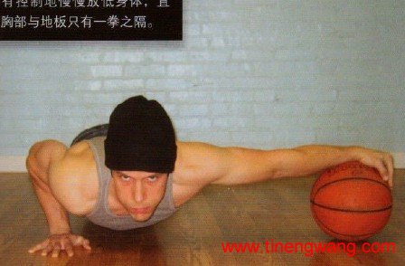 铠甲般的胸肌与钢铁般的肱三头肌——俯卧撑-第18张图片-体能网 铠甲般的胸肌与钢铁般的肱三头肌——俯卧撑-第18张图片-体能网