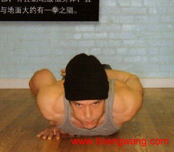铠甲般的胸肌与钢铁般的肱三头肌——俯卧撑-第20张图片-体能网 铠甲般的胸肌与钢铁般的肱三头肌——俯卧撑-第20张图片-体能网