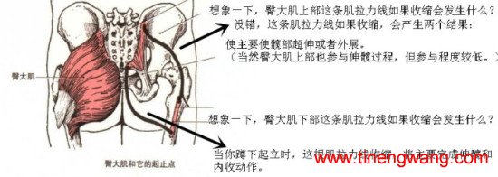 女人如何练就浑圆翘臀?-第40张图片-体能网 女人如何练就浑圆翘臀?-第40张图片-体能网