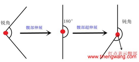 女人如何练就浑圆翘臀?-第2张图片-体能网 女人如何练就浑圆翘臀?-第2张图片-体能网