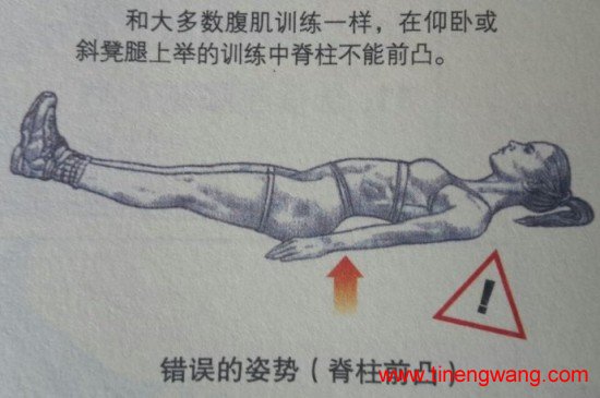 关于腹部训练你必须知道的四件事-第1张图片-体能网 关于腹部训练你必须知道的四件事-第1张图片-体能网