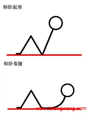 关于腹部训练你必须知道的四件事-第4张图片-体能网 关于腹部训练你必须知道的四件事-第4张图片-体能网