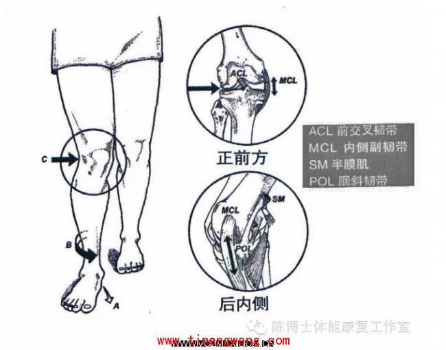 膝盖疼？先查查你的脚是否有问题！-第4张图片-体能网