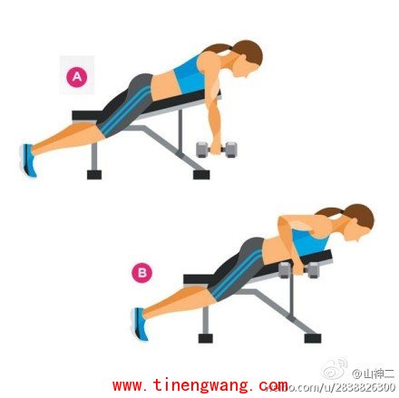 为什么女性要锻炼下肢肌群? - 山神 - 山神健康管理工作室