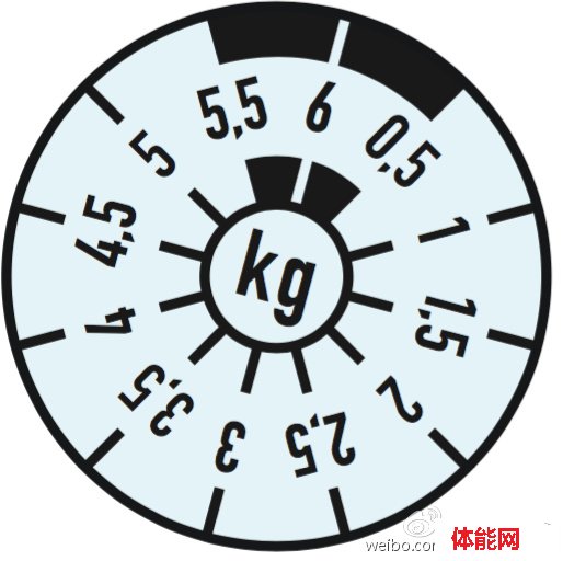 预防少年儿童脊柱侧弯:从正确背书包开始-第6张图片-体能网 预防少年儿童脊柱侧弯:从正确背书包开始-第6张图片-体能网