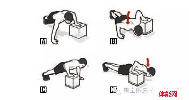 力量训练就应该这么练-第5张图片-体能网