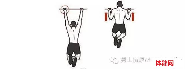 力量训练就应该这么练-第3张图片-体能网