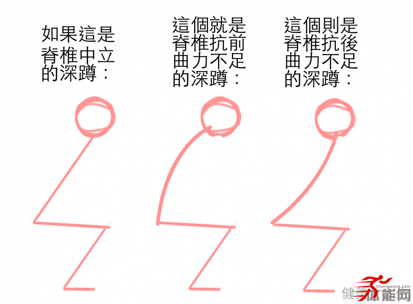 别再误解核心肌群脊椎可比你想像得还重要-第5张图片-体能网