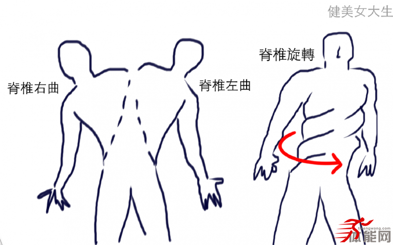 别再误解核心肌群脊椎可比你想像得还重要-第4张图片-体能网