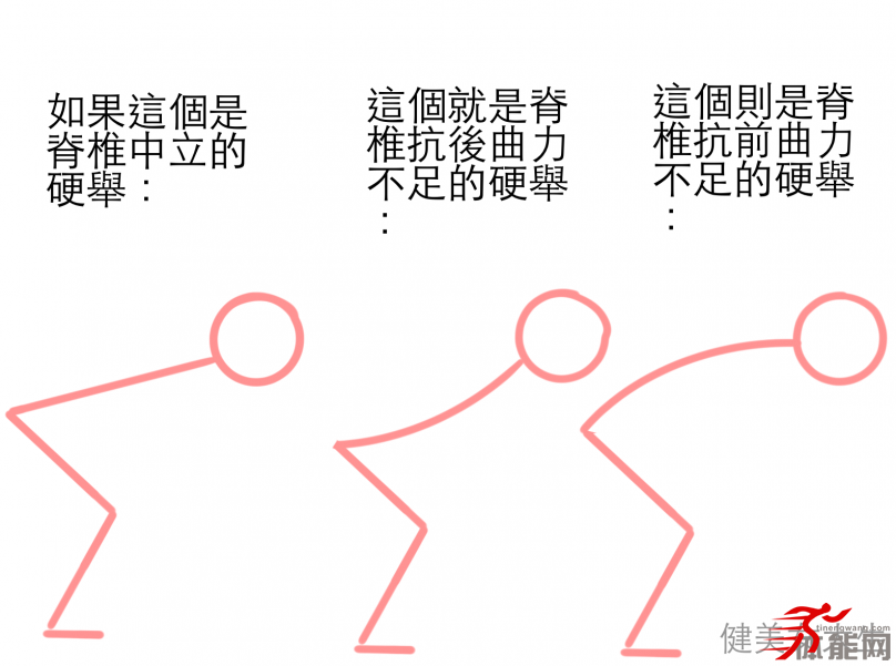 别再误解核心肌群脊椎可比你想像得还重要-第6张图片-体能网