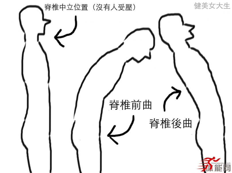别再误解核心肌群脊椎可比你想像得还重要-第3张图片-体能网