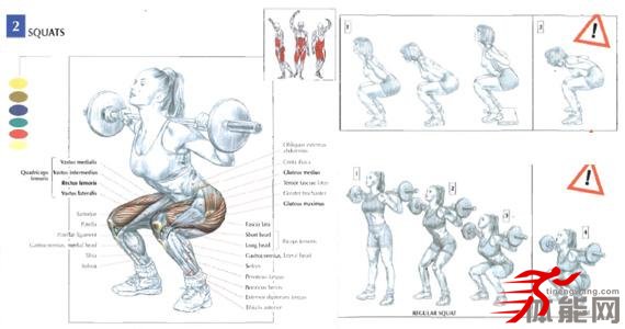 Crossfit深蹲的基本动作、错误姿势及修正方式-第3张图片-体能网
