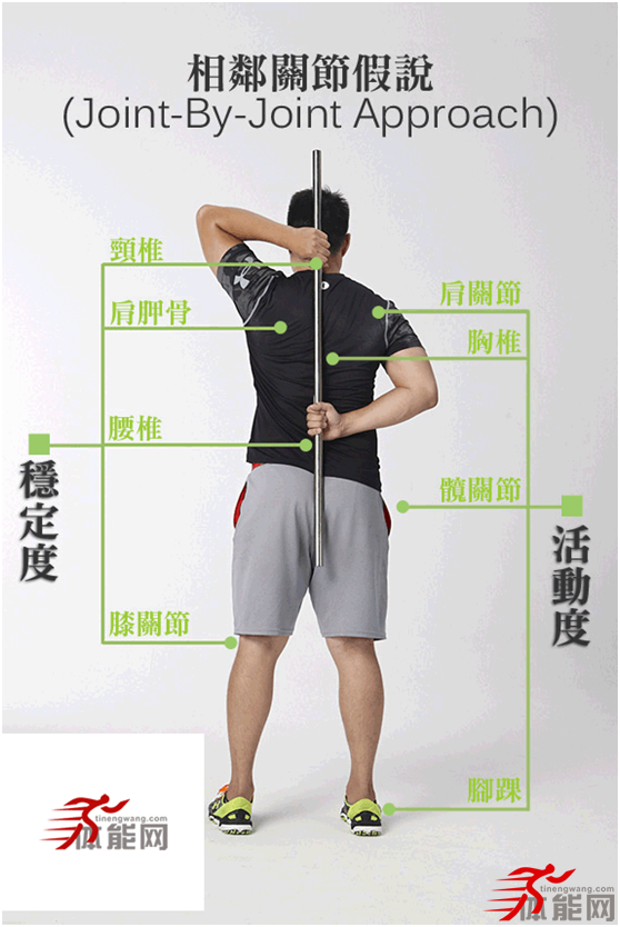 什么是训练中的代偿？-第4张图片-体能网