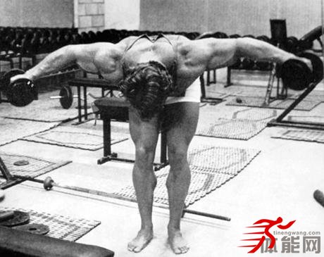 高水平的肩部力量训练计划-第5张图片-体能网