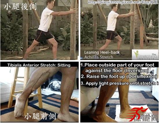 让你明白腿部肌肉为什么要这样拉伸-第2张图片-体能网