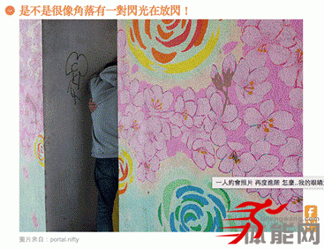 背部肌肉的解剖和拉伸-第31张图片-体能网