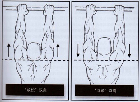 囚徒健身1：六艺之引体向上