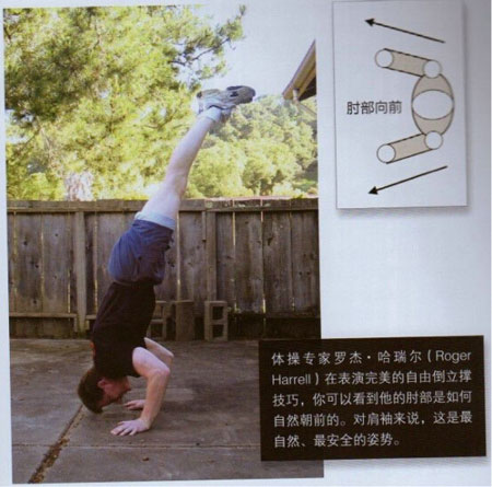 囚徒健身:用失传的技艺练就强大的生存实力 第十章 倒立撑-第3张图片-体能网