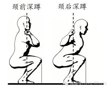 男人强壮看大腿，大腿NB性能力强-第7张图片-体能网