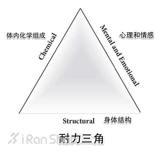 何为耐力-第1张图片-体能网