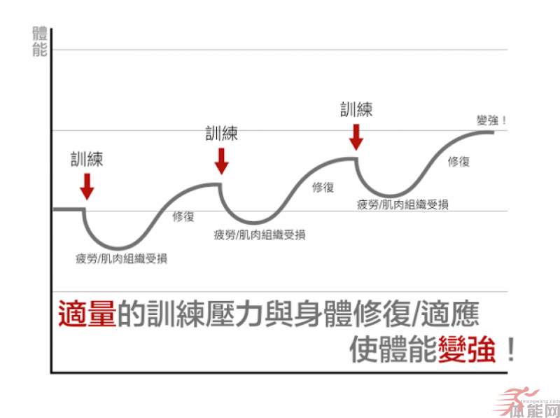 运动会不会造成膝盖退化-第4张图片-体能网