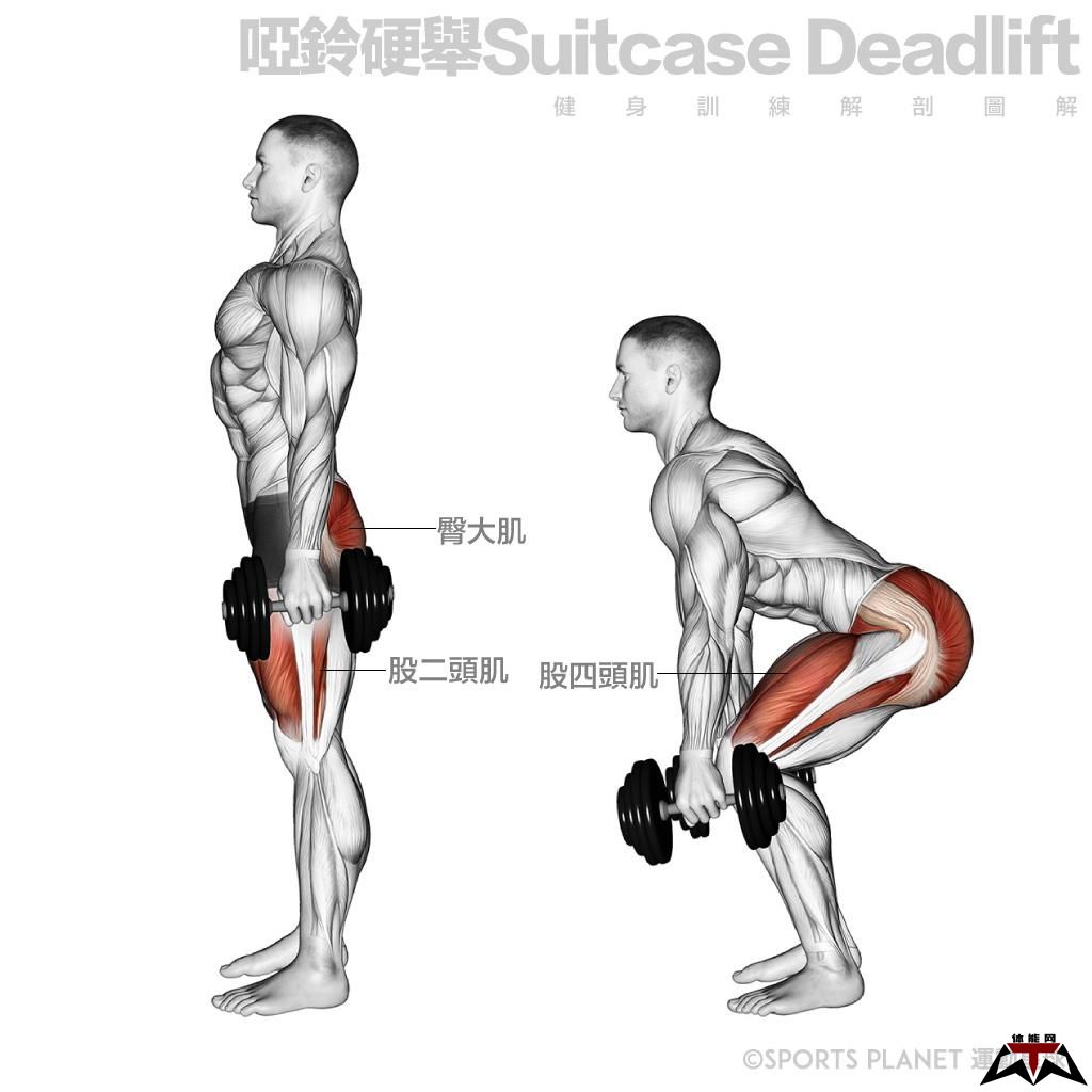 哑铃训练──下半身篇-第2张图片-体能网 哑铃训练──下半身篇-第2张图片-体能网
