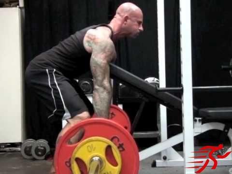 bent over row supported by bench