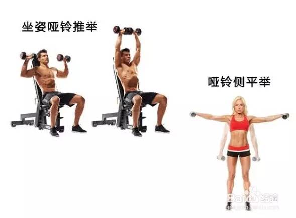练好这块肌肉，让你的身材变得挺拔好看-第10张图片-体能网