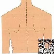 身体纠正训练的17个入门指南-第12张图片-体能网
