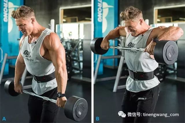 为什么你需要关注动作的离心过程-第1张图片-体能网