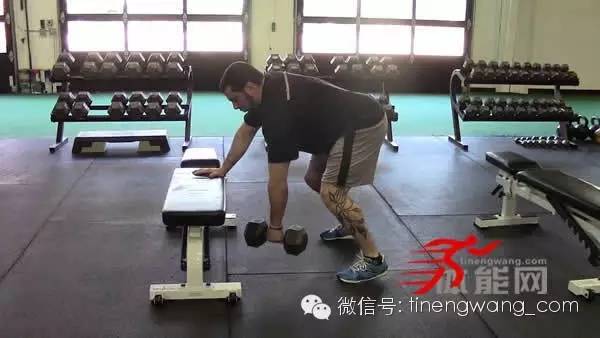 运动员最喜欢做的六个核心抗旋转动作-第4张图片-体能网