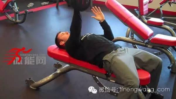 运动员最喜欢做的六个核心抗旋转动作-第5张图片-体能网