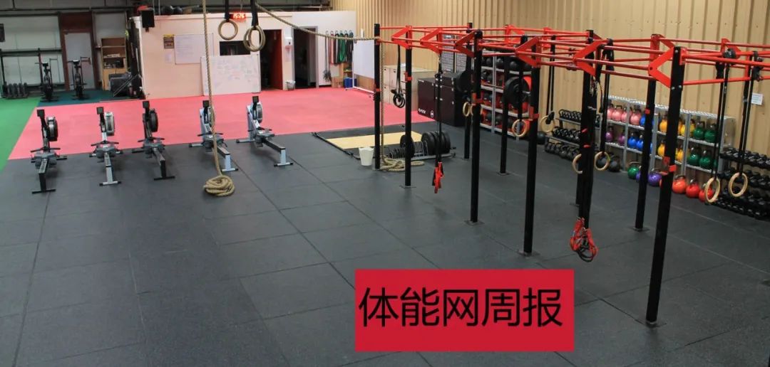 体能周报（3月18日）-第1张图片-体能网