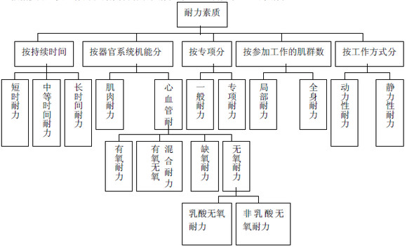 耐力训练的分类-第1张图片-体能网