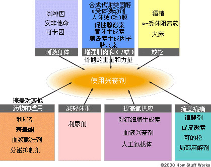 兴奋剂揭秘-第1张图片-体能网