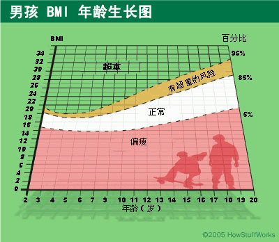 男孩BMI年龄生长图