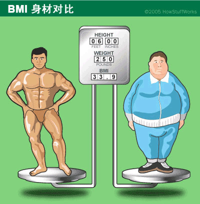 BMI身材对比