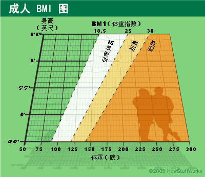 成人BMI图