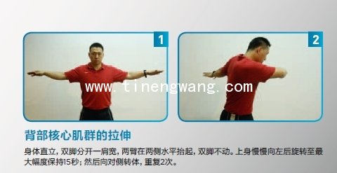 肌肉群的拉伸动作-第1张图片-体能网