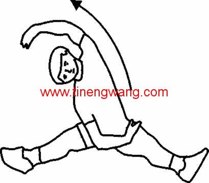 背部的拉伸图解-第12张图片-体能网