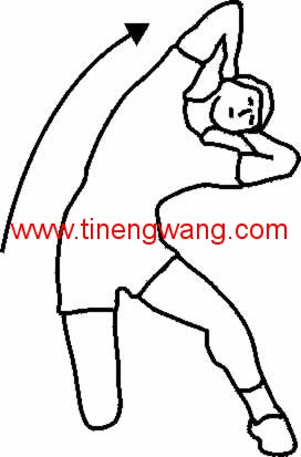 背部的拉伸图解-第29张图片-体能网