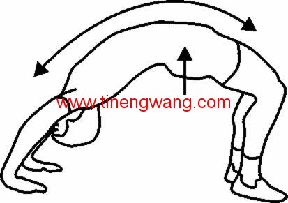 背部的拉伸图解-第27张图片-体能网