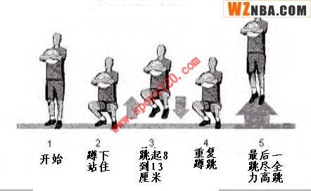 美国最著名的纵跳训练计划-第6张图片-体能网