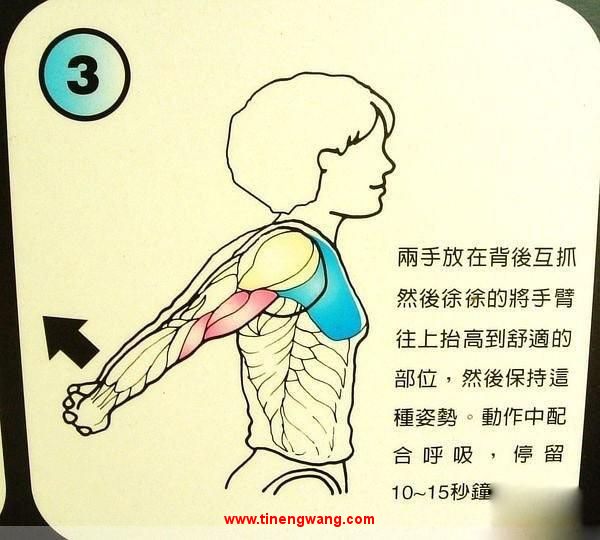 身体拉伸动作图解-第3张图片-体能网