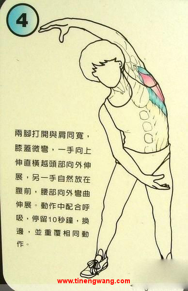 身体拉伸动作图解-第4张图片-体能网