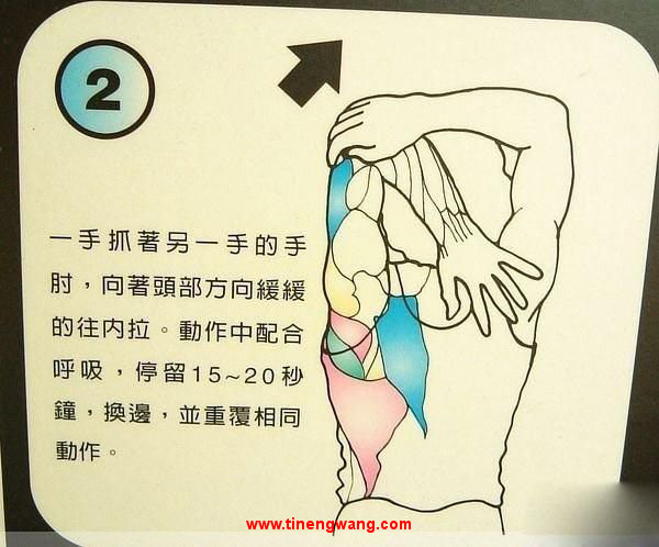 身体拉伸动作图解-第2张图片-体能网