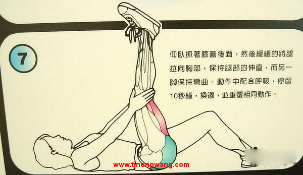 身体拉伸动作图解-第7张图片-体能网