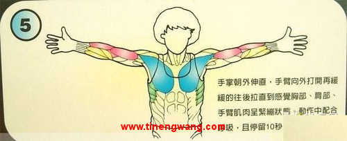 身体拉伸动作图解-第5张图片-体能网