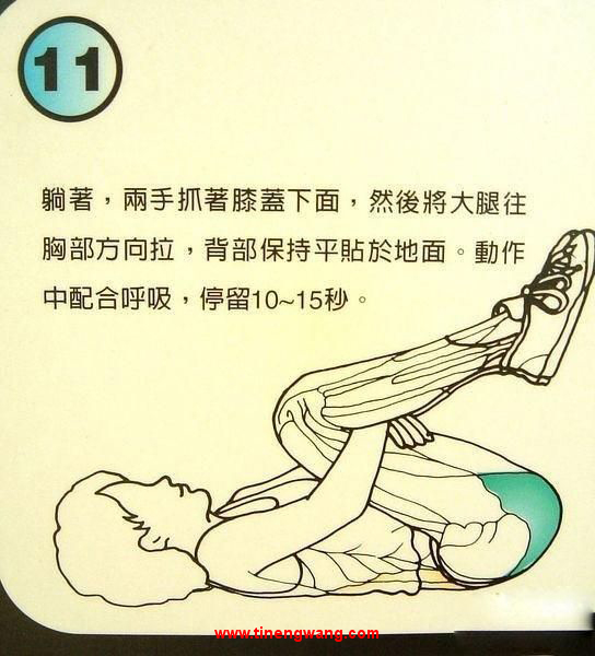 身体拉伸动作图解-第11张图片-体能网